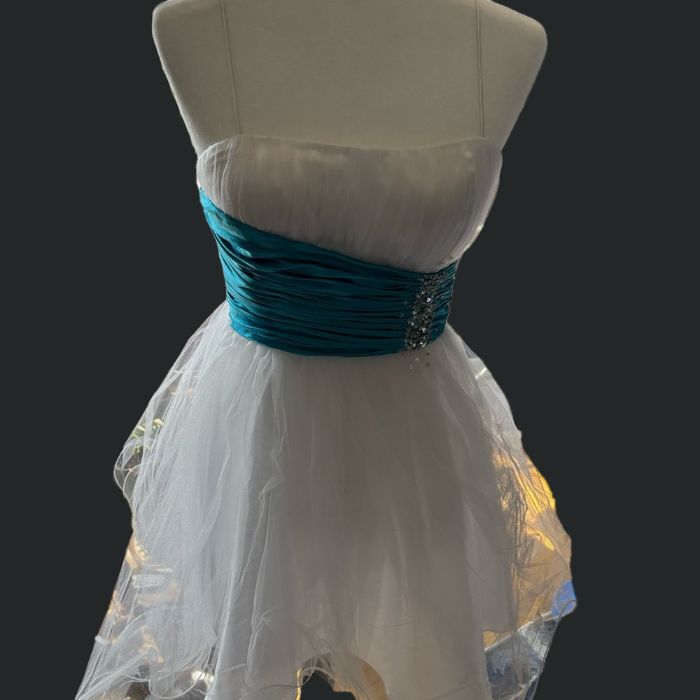 LIKE NEW LECHATEAU SZIE 5/6 PROM DRESS ASKING $60 LISTED ON OTHER SITES